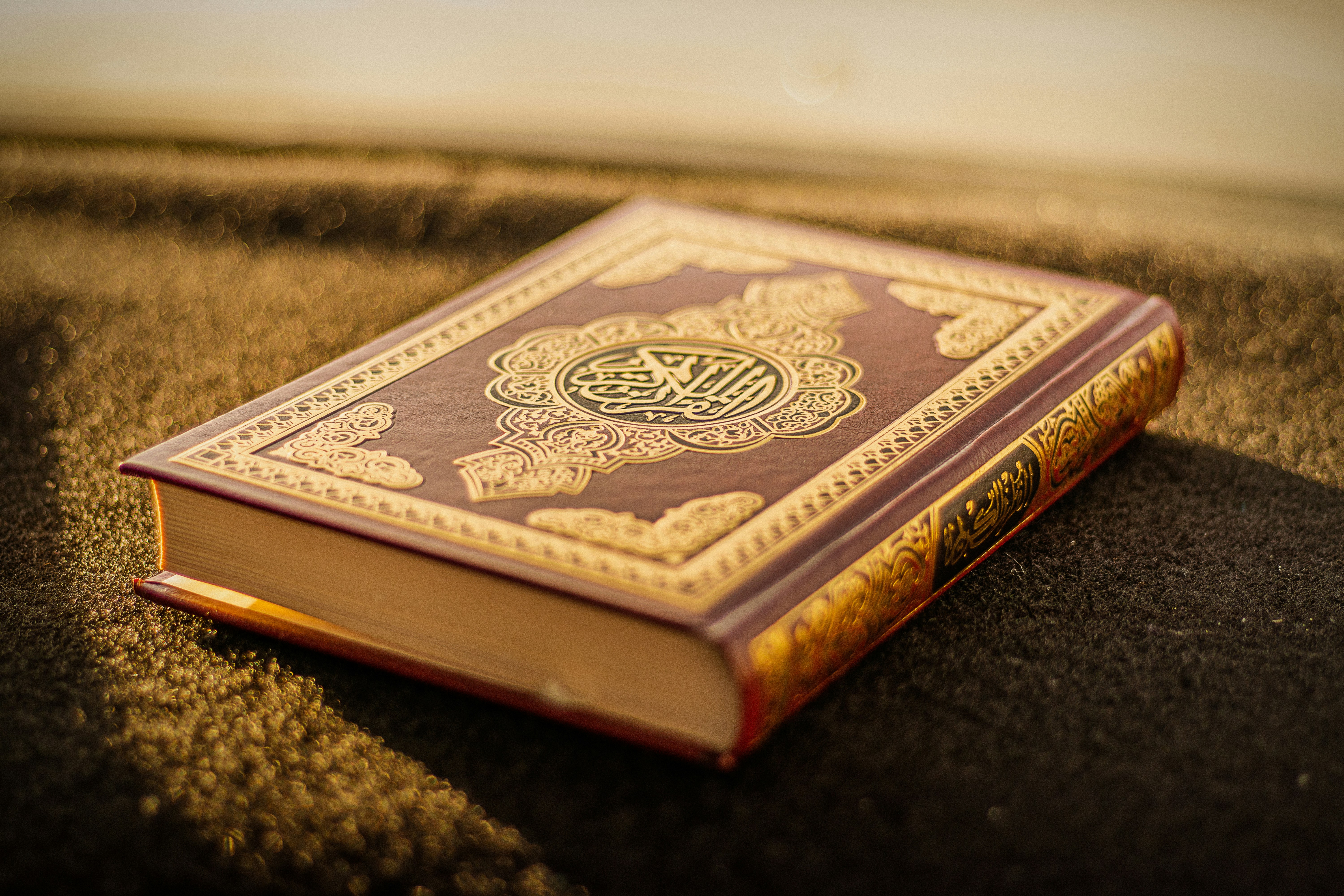 Hifz-ul-Quran & Tajweed